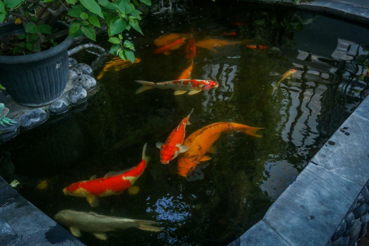 Sekar Waru Homestay Санур Экстерьер фото
